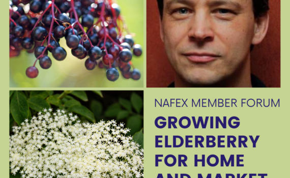 Pictures of Elderberries, Chris Sullivan and event title