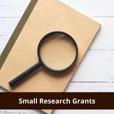 Small Research Grants