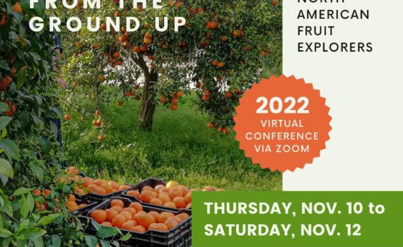 NAFEX 2022 Virtual Conference November 10-12