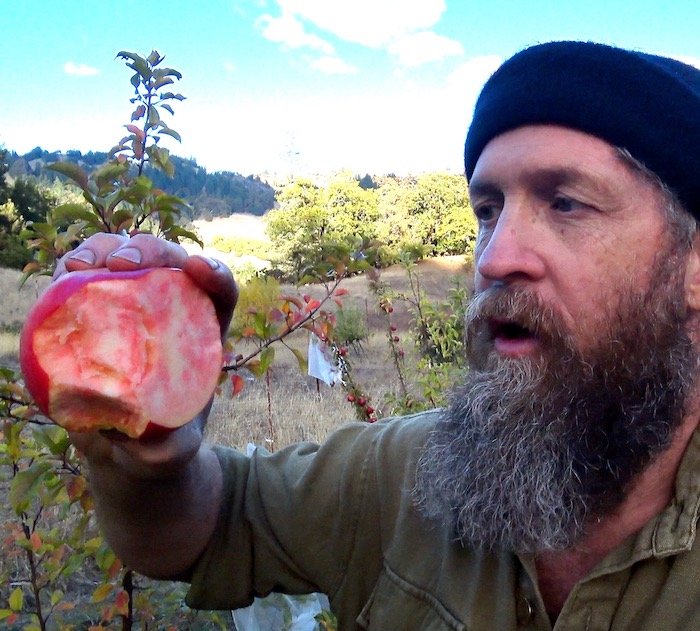 Steven Edholm holding a red-fleshed apple