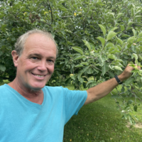 Derek Mills wearing a blue tshirt reaching into an apple tree to grab an apple