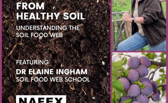 Dark brown soil, Dr. Elaine Ingham leaning on a fence, purple plums on a branch