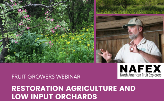 Fruit trees and flowers, chestnut tree and man speaking