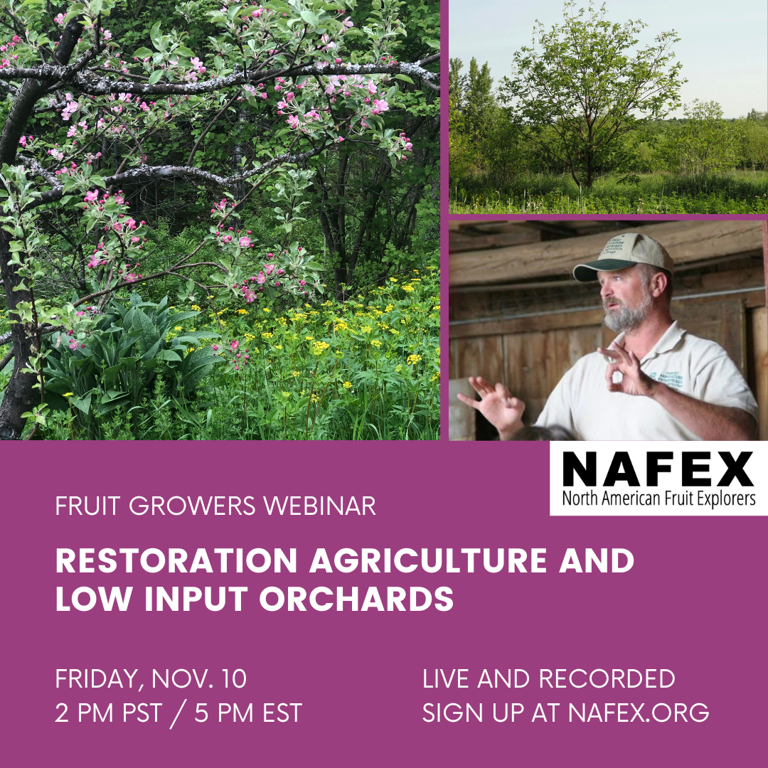 Fruit trees and flowers, chestnut tree and man speaking